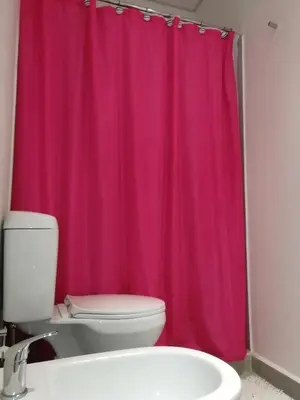 a pink shower curtain in a bathroom with a toilet at EFE Aparts in Mina Clavero