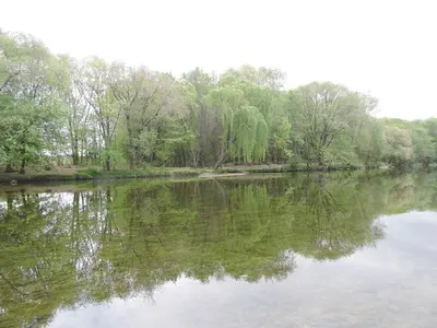 a river with trees reflecting in the water at Cabañas Campo Huasi in Santa Rosa de Calamuchita