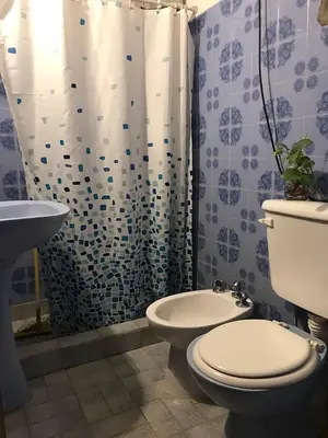 a bathroom with a toilet and a shower at Casa Las Magnolias in Villa General Belgrano