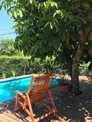 a wooden chair sitting under a tree next to a swimming pool at Casa Las Magnolias in Villa General Belgrano