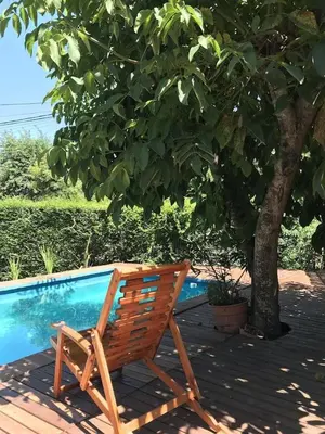 a wooden chair sitting under a tree next to a swimming pool at Casa Las Magnolias in Villa General Belgrano