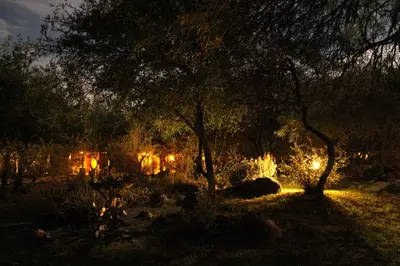 a forest lit up at night with trees and lights at La Quinta Resort in Merlo