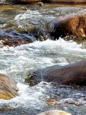 a stream of water with rocks in a river at Al Rio Suites in Nono