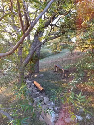 a park with a bench under a tree at Peperina Lago Los Molinos in Villa Ciudad de America