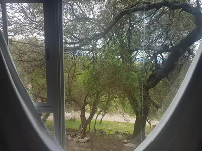 a window with a view of a tree at Alma Tierra in Merlo