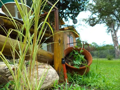 a garden with some plants in pots on a rock at Cabañas Kumelkalechi in Los Reartes