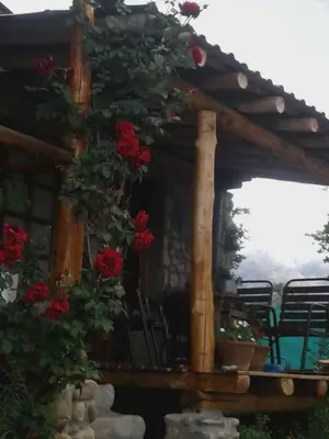 a pavilion with red roses growing on it at Cabañas Quisama in Nono