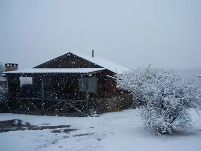 a house covered in snow with a bush at Cabañas Quisama in Nono