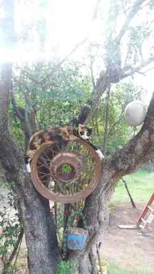 Gallery image of Samana Holiday in Carpintería