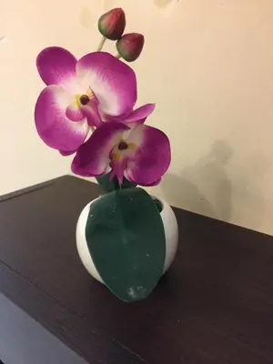 a vase with purple flowers in it on a table at Chacabuco Park in Cordoba