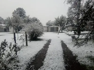 a driveway covered in snow with trees and houses at Casa en Santa Rosa de Calamuchita in Santa Rosa de Calamuchita
