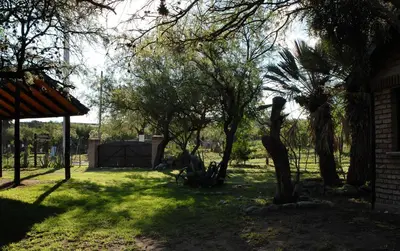 a yard with trees and a fence and a building at Cabanas en el Jardin Nativo in San Francisco del Monte de Oro