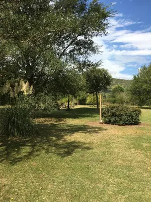 a field with a tree and some grass at Entre Sierras in Villa General Belgrano