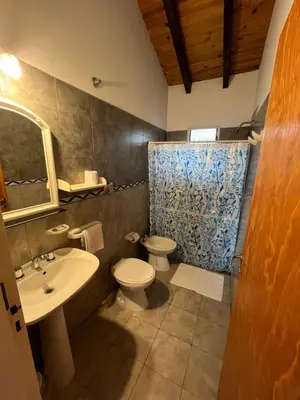 a bathroom with a sink and a toilet and a shower at Entre Sierras in Villa General Belgrano