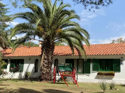 a palm tree in front of a house at La Casa de Don Pepe in Villa de Las Rosas