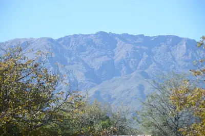 a mountain in the distance with trees in the foreground at La Casa de Don Pepe in Villa de Las Rosas