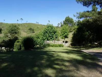 a large grassy field with trees and a hill at Suenos del Bosque ApartHotel in Atos Pampa
