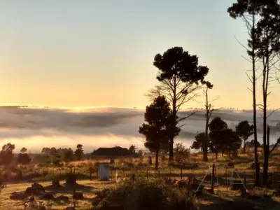 a foggy field with trees and the sun in the background at Cabañas Agalma in Villa Yacanto