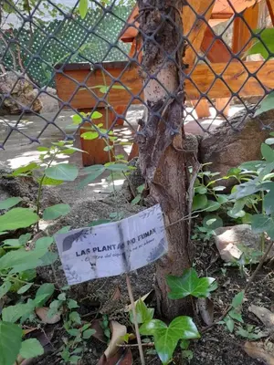a tree with a sign attached to a fence at Complejo de Cabañas Estancia Del Águila in Mina Clavero
