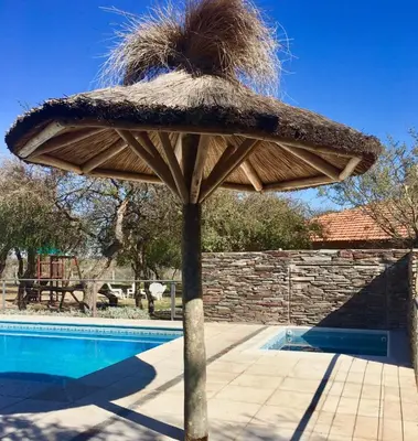 a straw umbrella with a pile of hay on it next to a pool at Altos Serranos Apart in Merlo