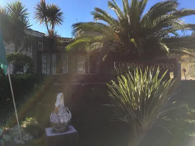 a house with palm trees and a statue in the yard at Posada Jardin del Cerro in Santa Rosa de Calamuchita