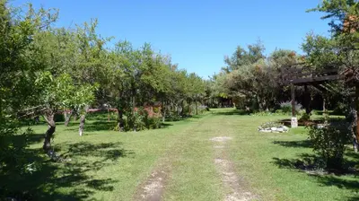 a path through an apple orchard with trees at Cabañas de los Comechingones in Merlo