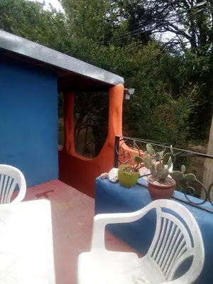 a patio with a white chair and potted plants at La Neofita in Mina Clavero