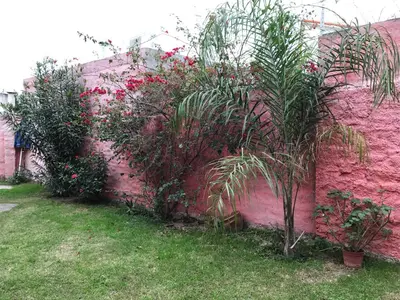 a pink wall with plants and flowers on it at LF Departamentos in Cordoba