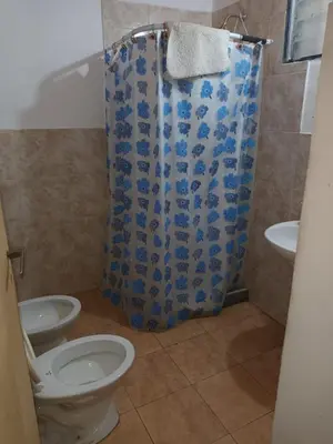 a bathroom with a toilet and a shower curtain at Posta Los Reartes in Los Reartes