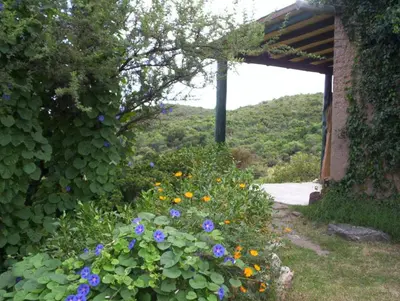 a garden with purple and yellow flowers next to a building at Verde Niña Casas Serranas in Cortaderas