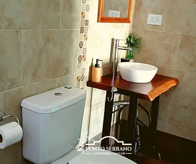 a bathroom with a sink and a toilet at Punto Serrano in Carpintería