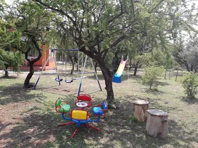 a swing set in a park next to a tree at Punto Serrano in Carpintería