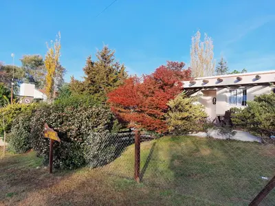 a house with a tree in the yard at Lomas del Vergel in Los Reartes