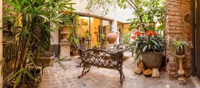a room filled with lots of plants and a chair at Virreinato Hotel Boutique in Cordoba