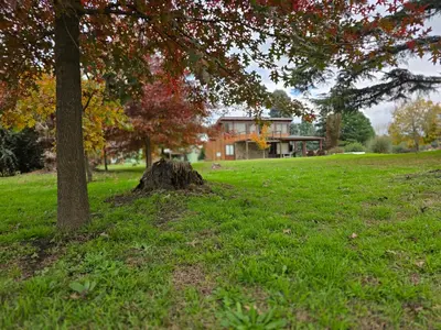 a tree stump sitting in the grass in front of a house at La Azotea cabañas & suites in La Cumbrecita
