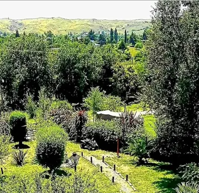 a garden with a lot of plants and trees at Cabañas el Recodo de Potrero in Potrero de Garay