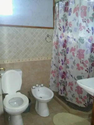 a bathroom with a toilet and a sink at Apart Don Cosme in Santa Rosa de Calamuchita