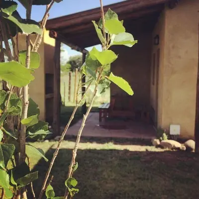 a tree in front of a house with a building at Cabañas Los Álamos Panaholma in Panaholma