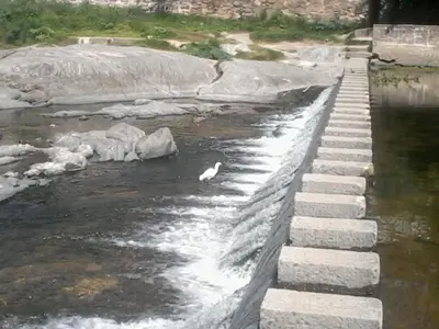 a white bird in the water next to some steps at Aires de San Antonio in San Antonio de Arredondo