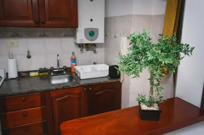 a kitchen with a sink and a table with a potted plant at 3 o 4 PERSONAS A 150 Mts SANATORIO ALLENDE in Cordoba