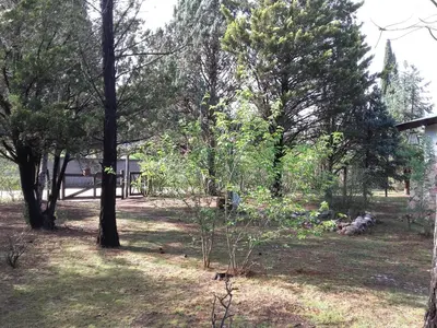 a yard with trees and a house in the background at Luna Azul in Nono