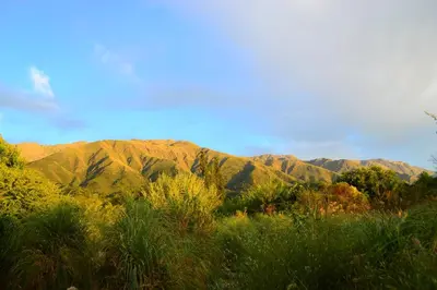 auliculiculiculiculiculiculiculiculiculiculiculiculiculiculic at Mainame Traslasierra in Los Hornillos