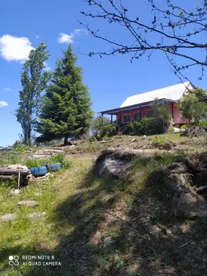 a house on top of a hill with a tree at Aike Cabañas de Montaña in San Clemente