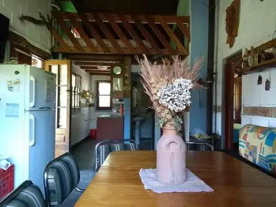 a vase filled with flowers sitting on a table at Aike Cabañas de Montaña in San Clemente