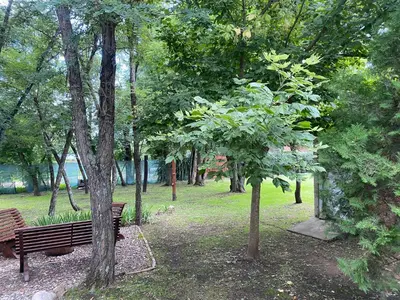 a park with two park benches and trees at Cabañas el Gauchito in Los Reartes