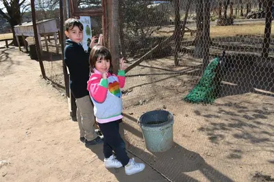 a boy and a girl standing in front of a cage at Granja El Aromo in Las Calles