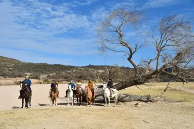 a group of people riding horses on the beach at Granja El Aromo in Las Calles