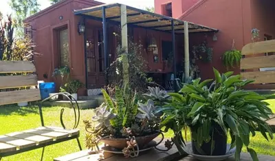 a group of plants sitting on a table in front of a house at Qui Home in Cordoba
