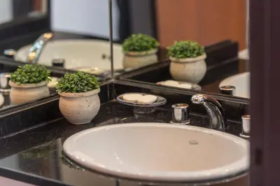a bathroom sink with potted plants on a counter at Novum Suites in Cordoba