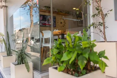 a group of plants in pots in front of a building at Novum Suites in Cordoba